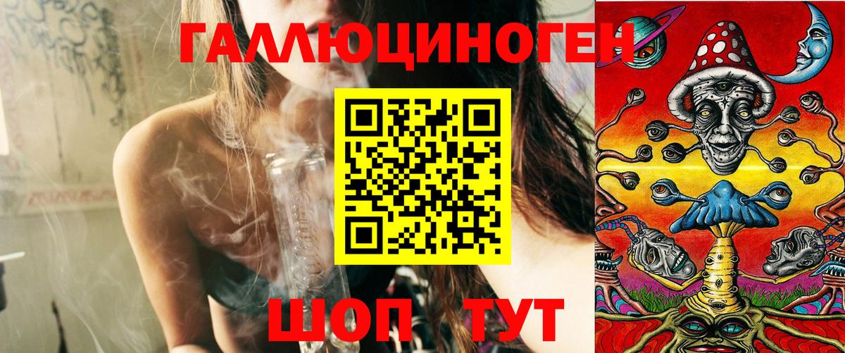 Галлюциногенные грибы Psilocybine cubensis Советск