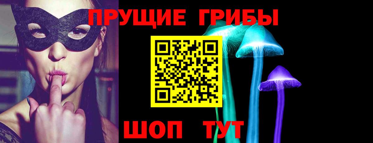 Советск  Галлюциногенные грибы мухоморы  Вход с VPN 